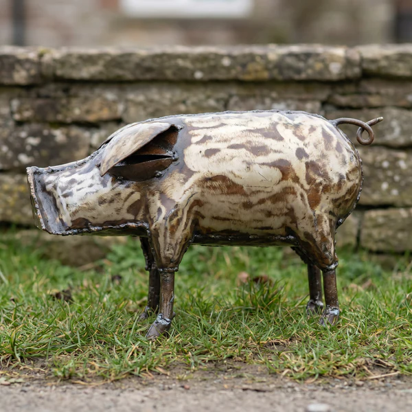 Pig – Medium