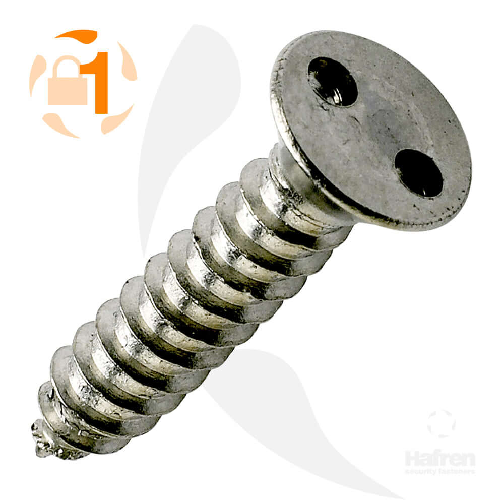 Countersunk A2 Stainless Steel 2-Hole Self Tapper