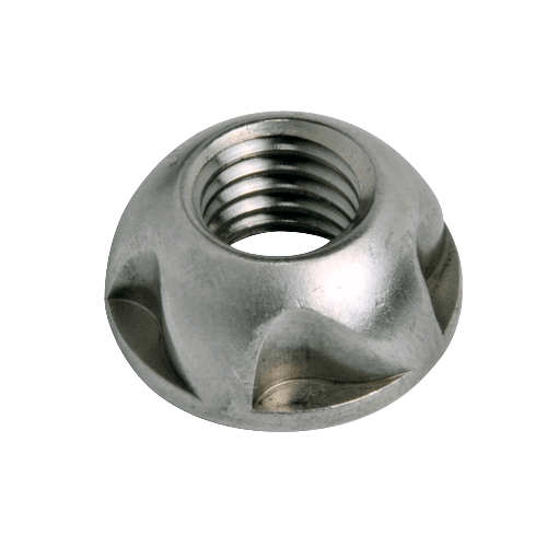 Stainless Steel Removable Security Nut