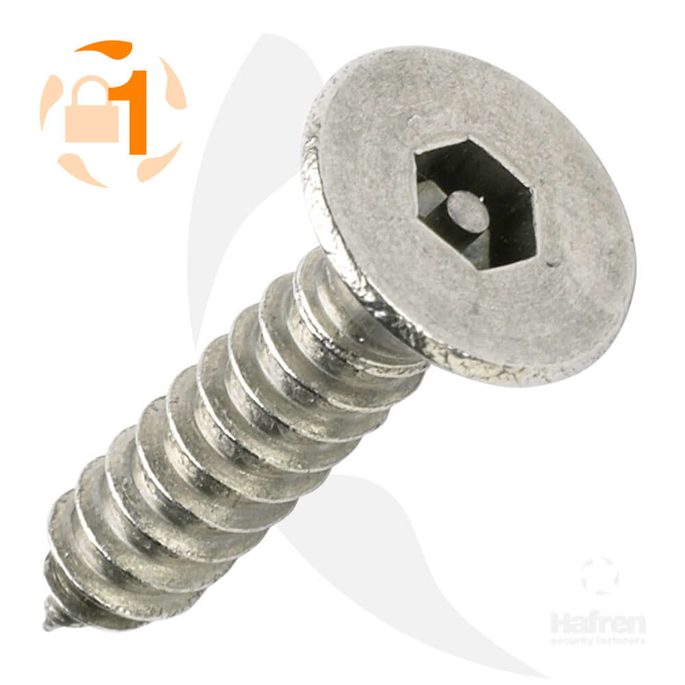 Countersunk A2 Stainless Steel Pin Hex Self Tapper