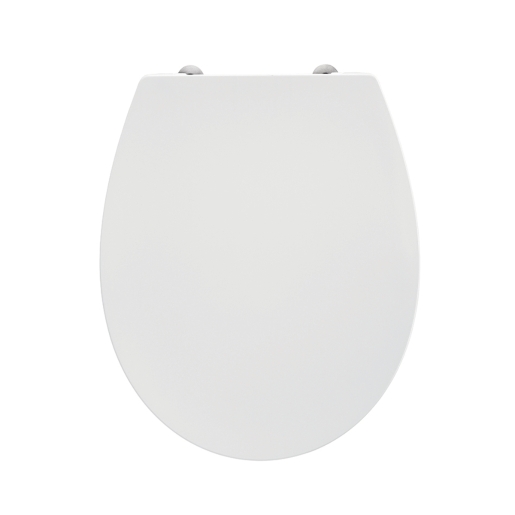 Sandringham 21 Standard Seat and Cover Plastic Hinges E131601