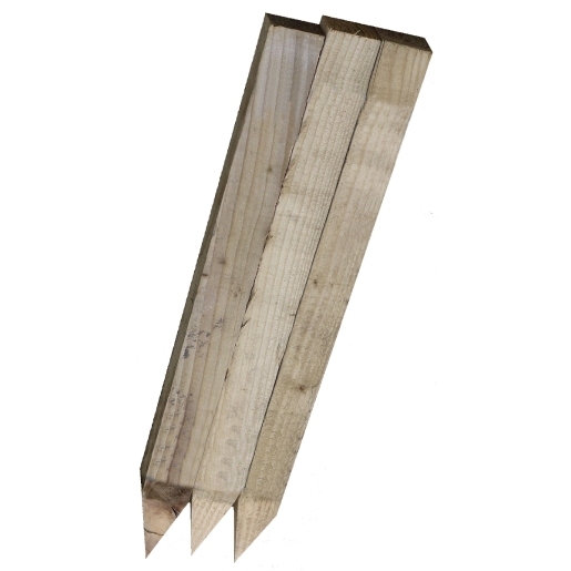 Bsw Green Treated Pointed Pegs 50mm x 50mm x 600mm