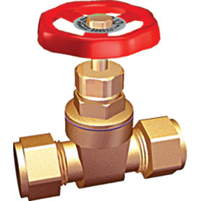 Mv 15Mm Gate Valve (Bs5154) GV15